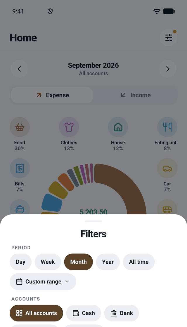 Minibooks Expense: Filters for any question