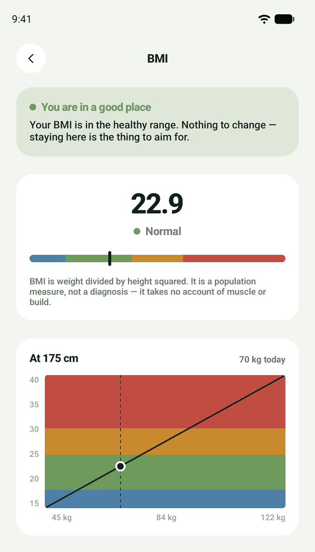 TrueSteps Solo: Your BMI, explained
